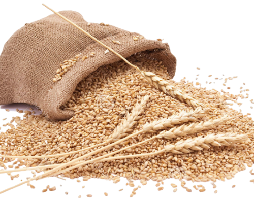 Grains